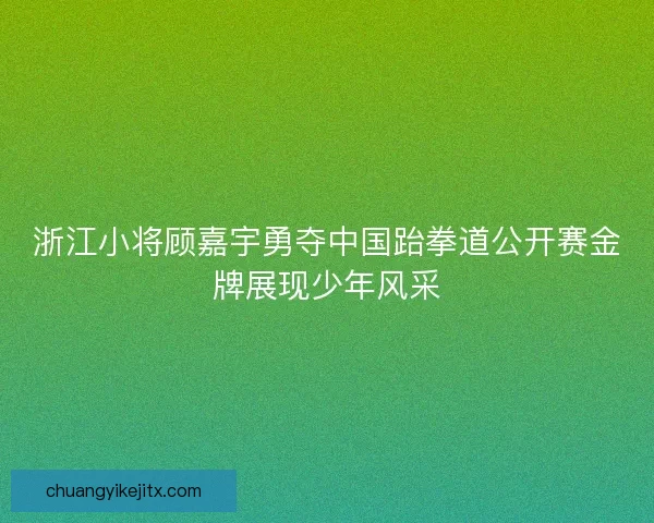 浙江小将顾嘉宇勇夺中国跆拳道公开赛金牌展现少年风采